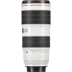 Canon EF 70-200mm f/2.8L IS III USM Lens 3044C002